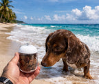 Portable Dog Water Bottle